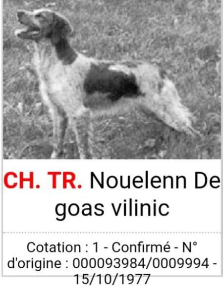 CH.GT. Nouelenn de Goas Vilinic
