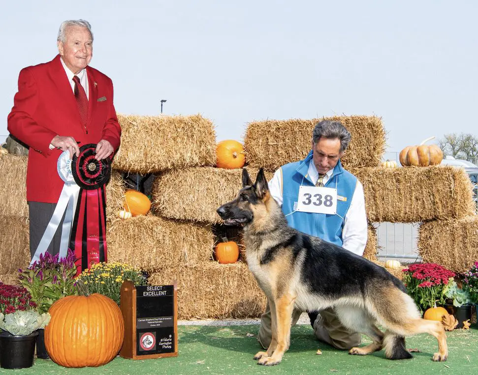 Select Excellent GCH Caretti's Made To Order