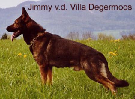 Jimmy von der Villa Degermoos