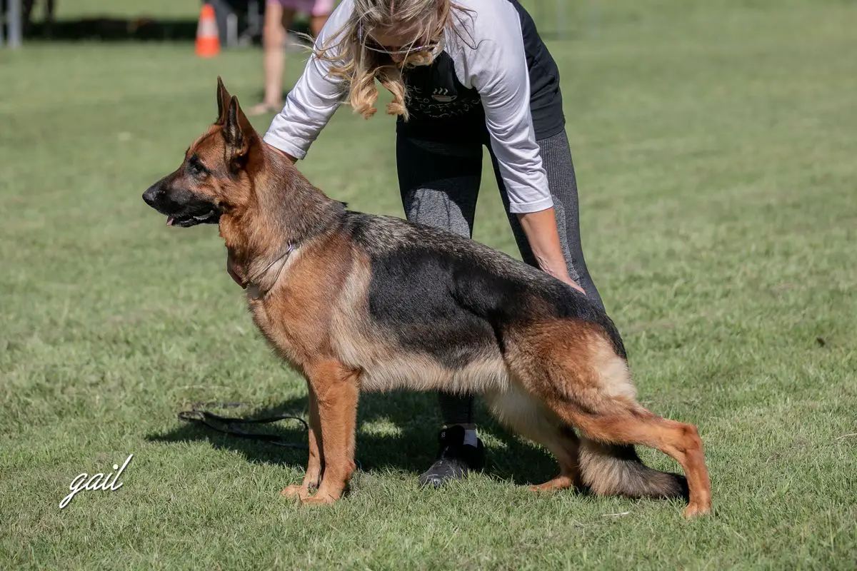 Kayrossi Still Ms Behaving