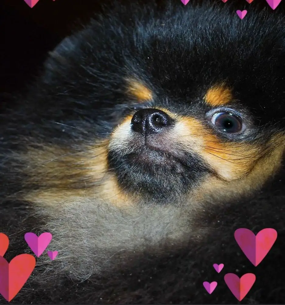 Queam’s Ravin About my B&T