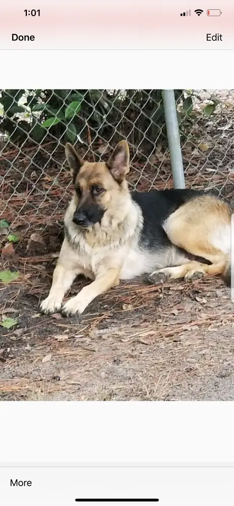 Natasha Victoria Lll