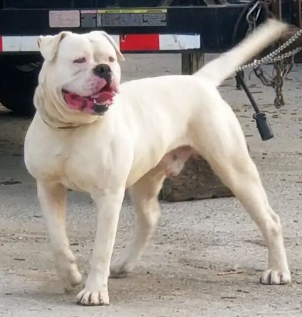 Shackleford's Spot of GGK