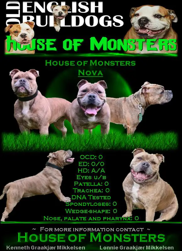 House of Monsters Nova
