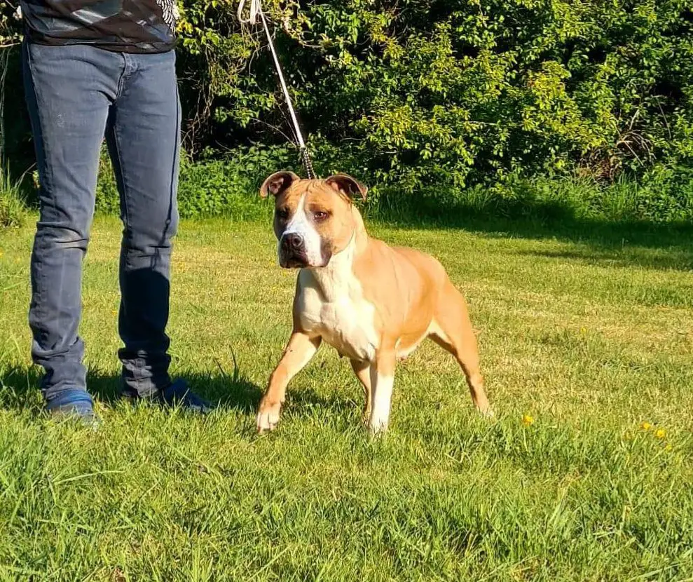 Morty du temple de gaia