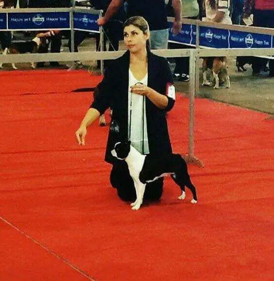 JCH Srb, CH Srb Prunella de Mandraka