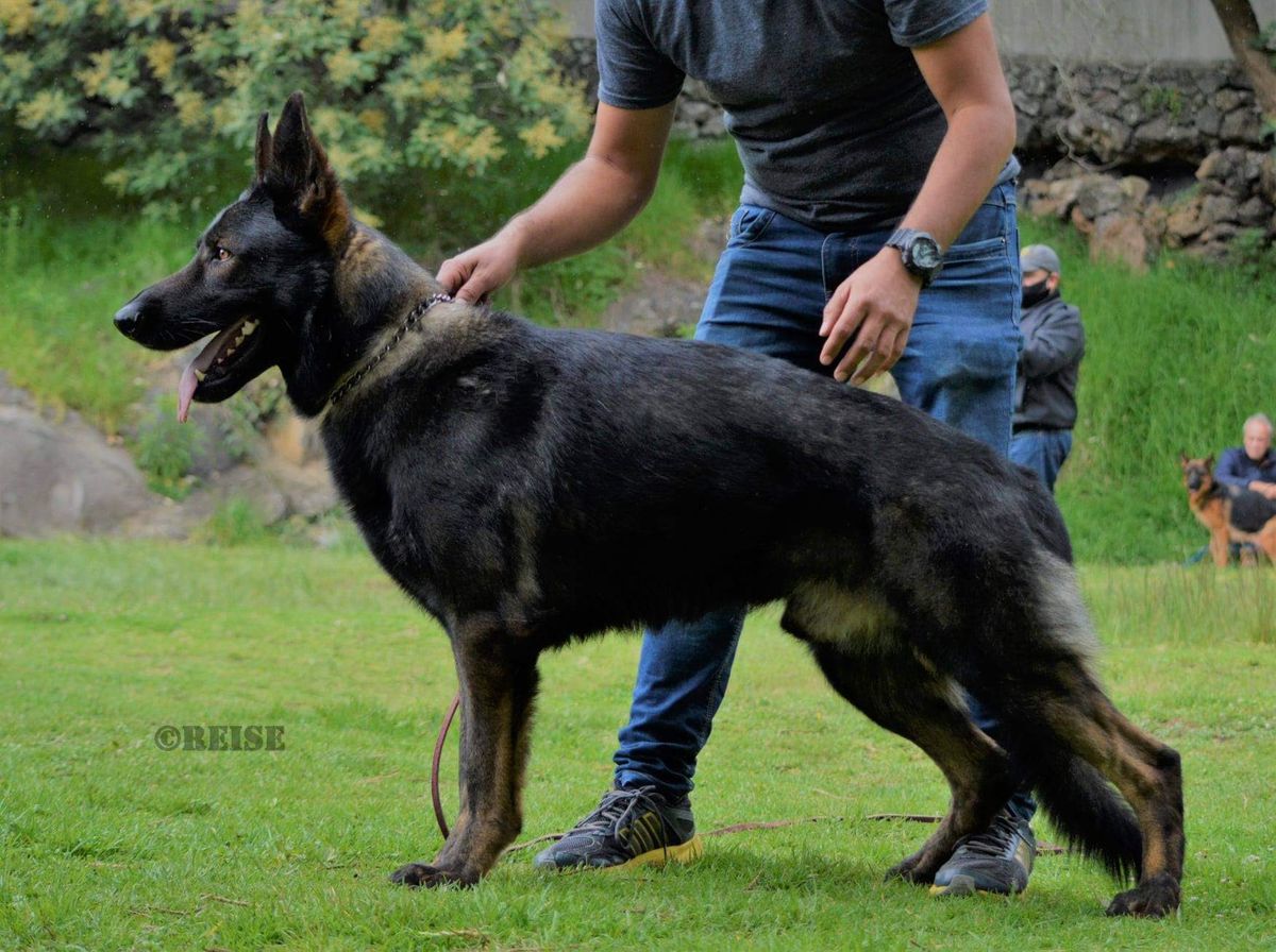 Arco Von Der Schlüssel