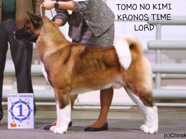 Tomo No Kimi Kronos Time Lord