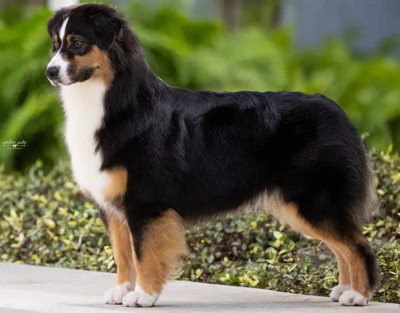 Coolmoor's Cover Story FDC