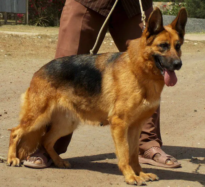 Bendel Zowe at Athyvine