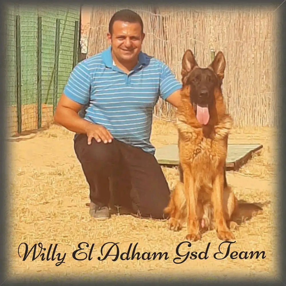 Willy El Adham Gsd Team
