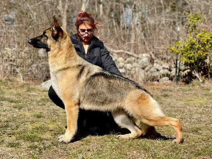 Carlyn’s Oh You Fancy Huh