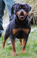 Erra des Princes d'Aragone