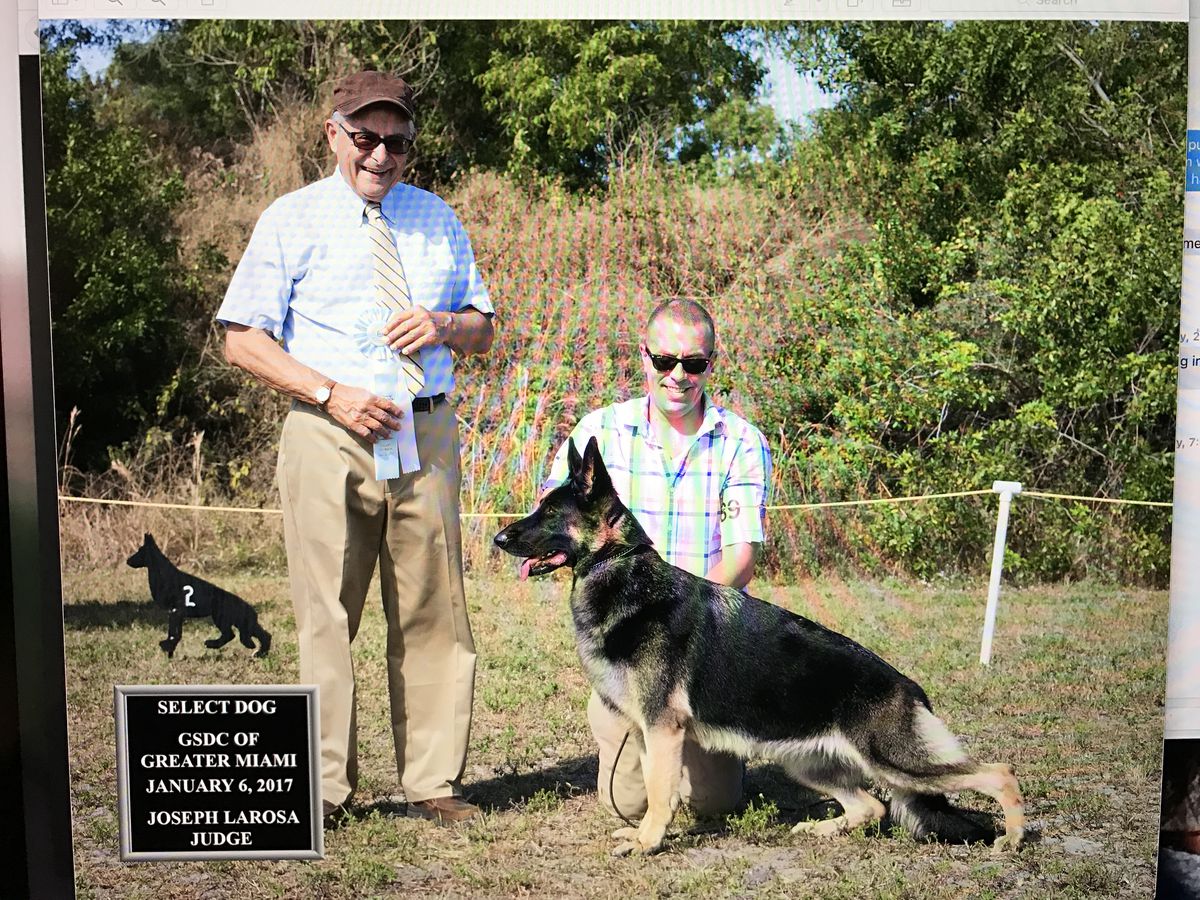 GCH Karizma's Andorra of Newmack