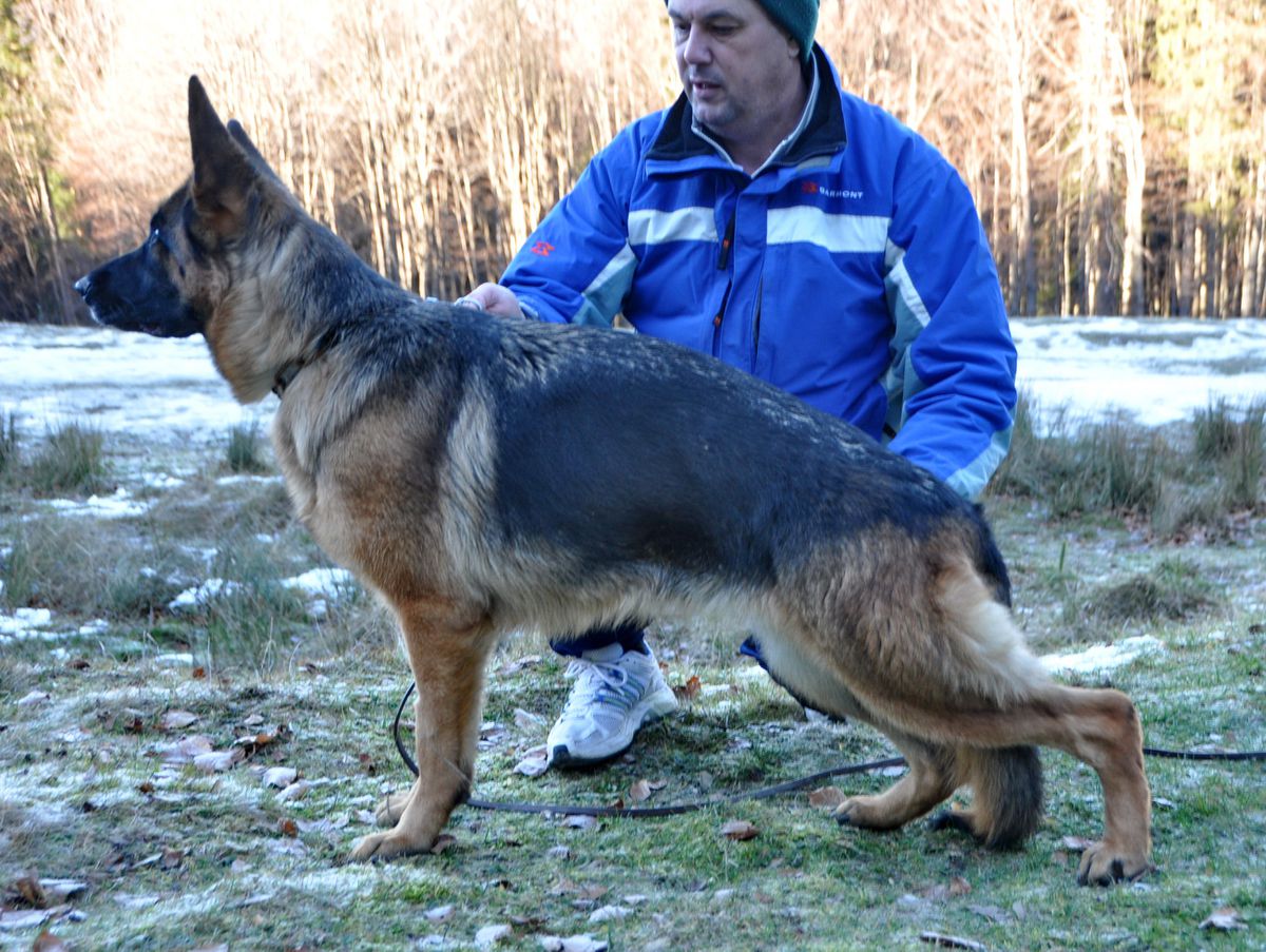 Afra vom der Warallya