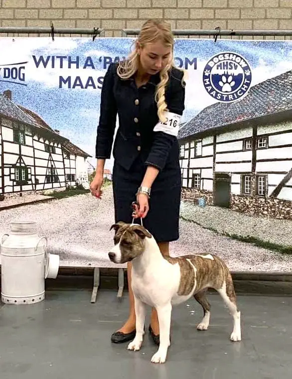 Dutch Junior Champion Carmichael's Unfinished Sympathy