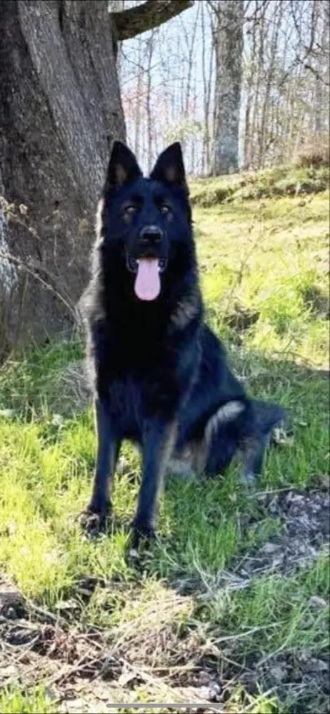 Ace Von Lanes