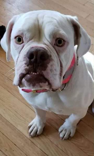 Keiser's Bella