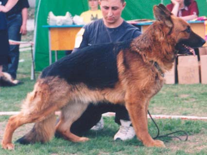 Karly vom Land Thüringen