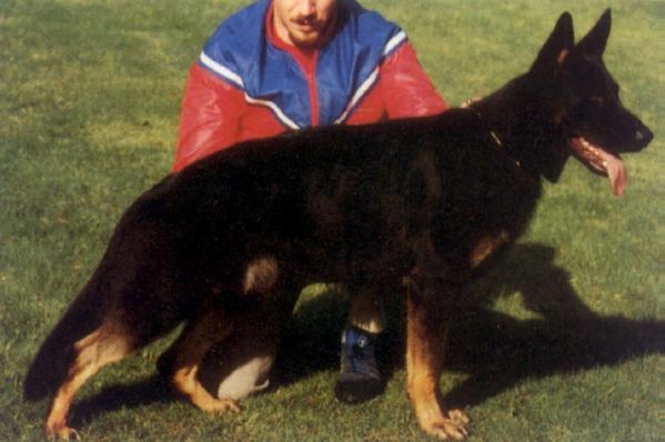 V Ilja aus dem schwarzen Zwinger