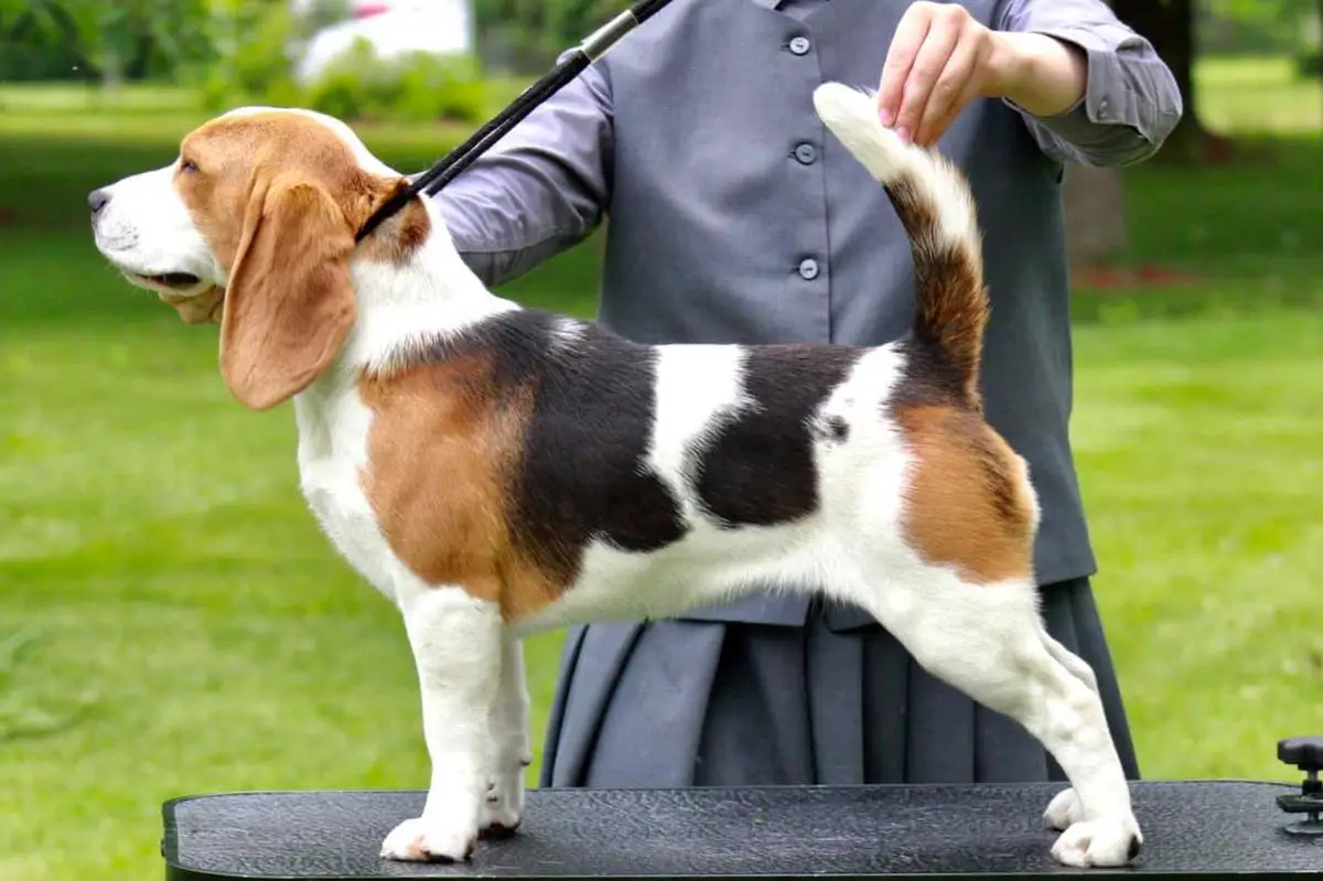 Mae’cee Spice of Life