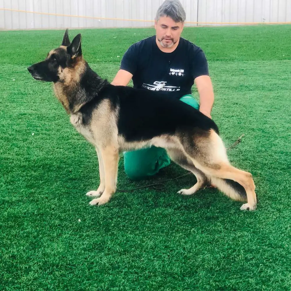 Danko de Anika de Carthago