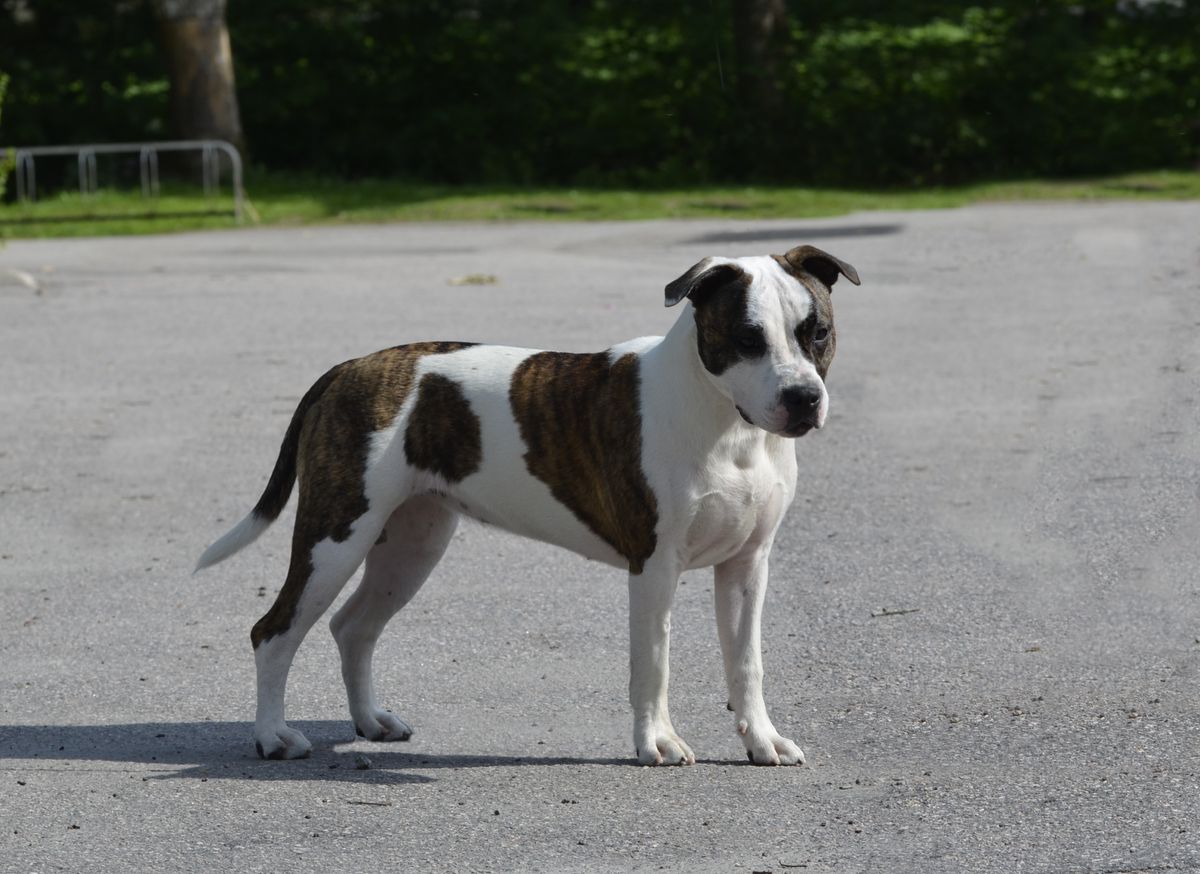 Mia AlbaChiara Serafina