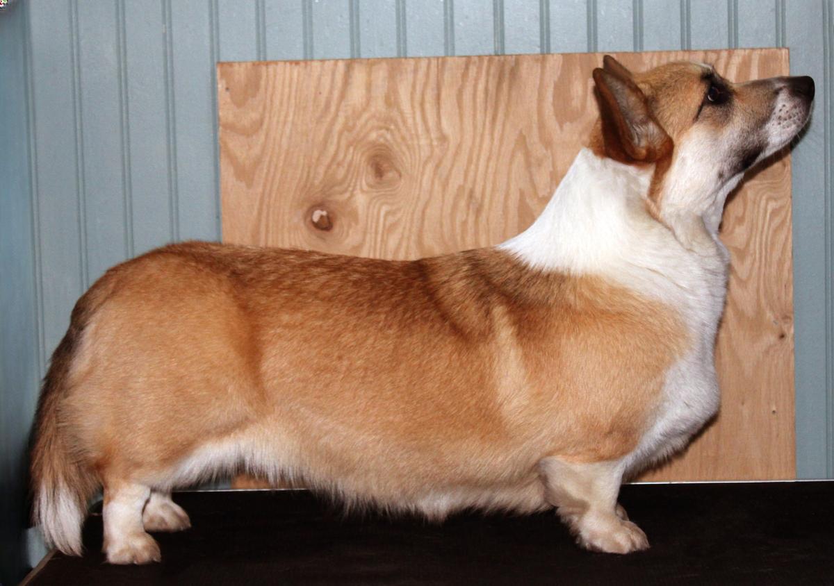 Outlands Accidental Magic