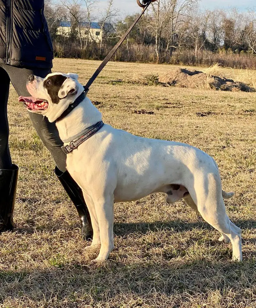 JAKE FROM STATE FARM of K.K