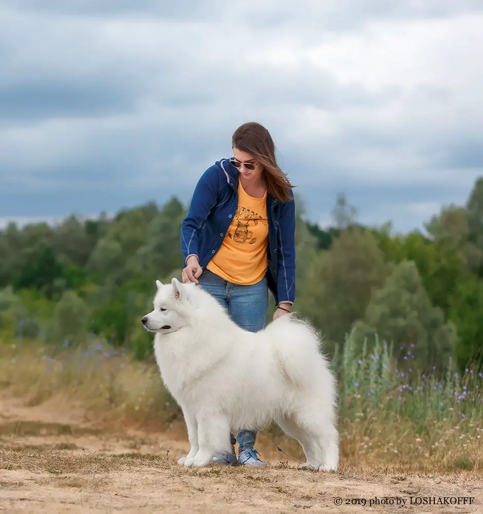 JCHRus, NATIONAL BREED CLUB CH, CHRus, GrandCHRus, CHRKF SERENADA SEVERNOI DOLINY SAMURAY