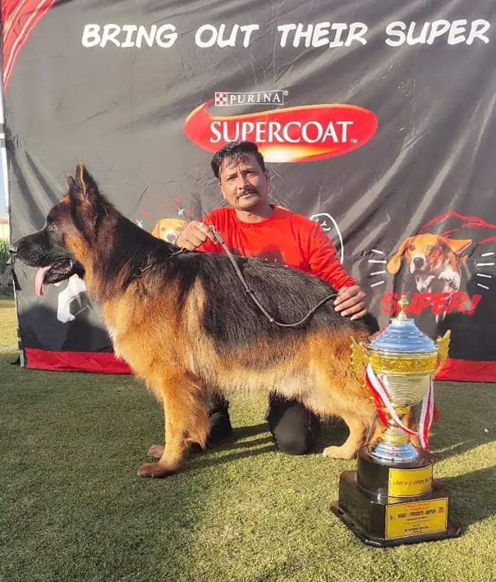 V1 Blitzhaus palliberg's Yester