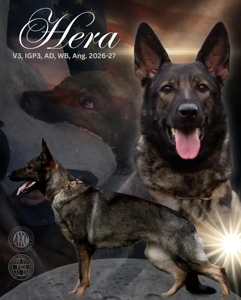 V3 Hera von Hanrahaus