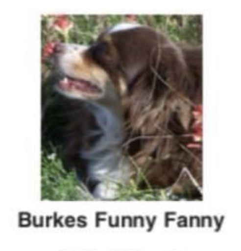 Burke's Funny Fanny