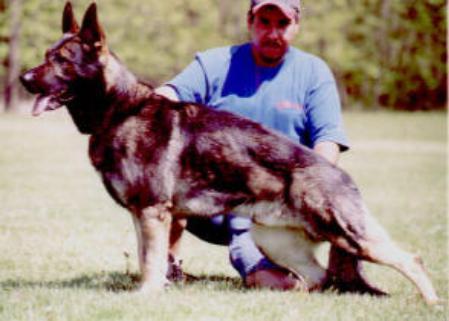 Einstein von der Sandkautschneise