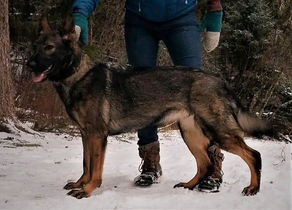 Esmeralda Von Blumental