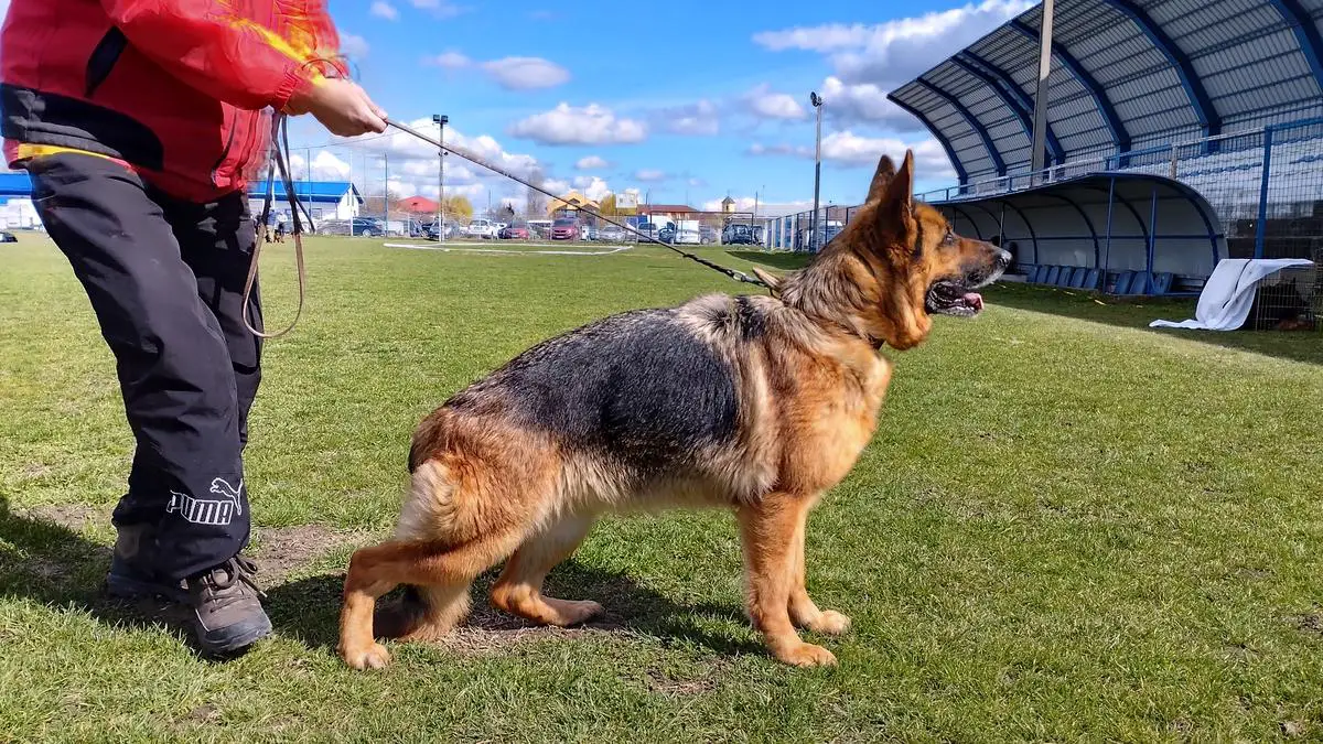 V 1 Kia di Casa Beggiato