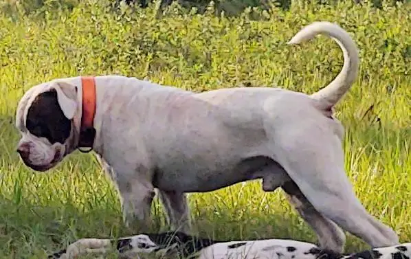 Ann Marie's Patch of Taylor's