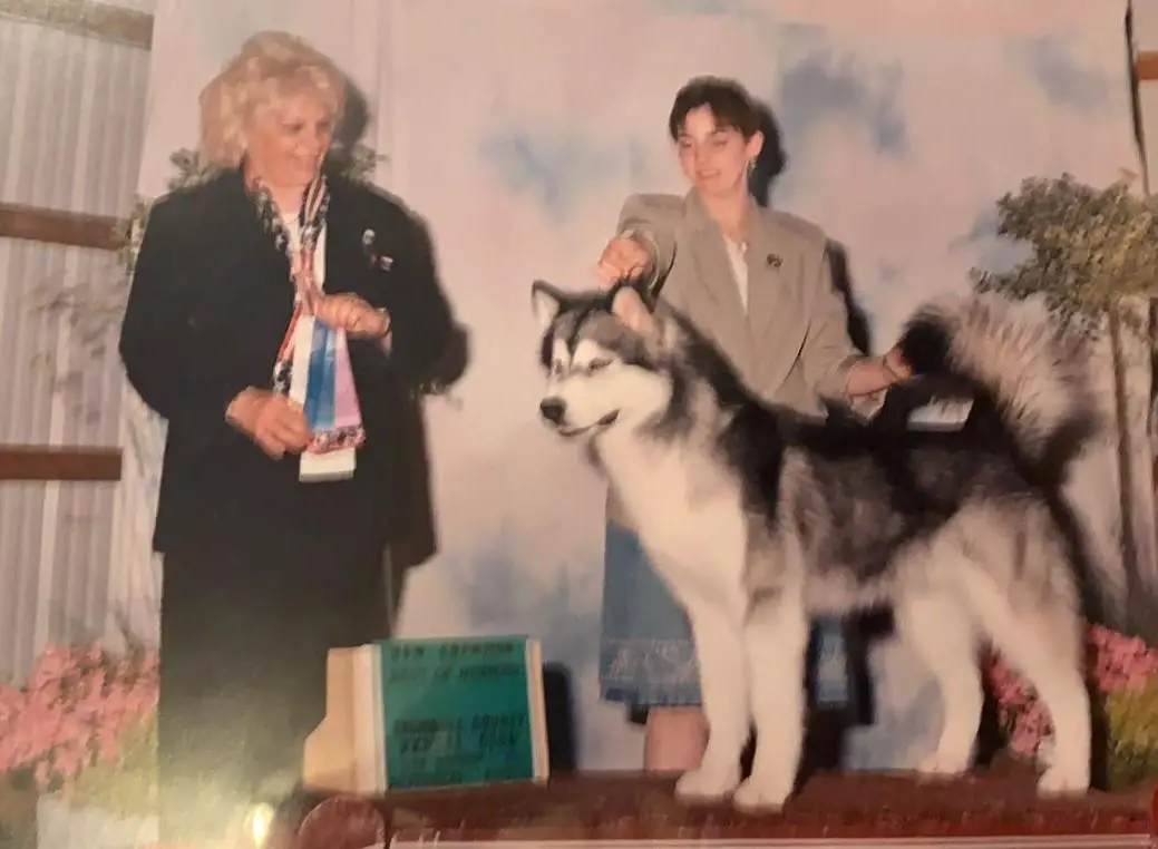 AM. CH. Velvet Sky's Velvet Elvis