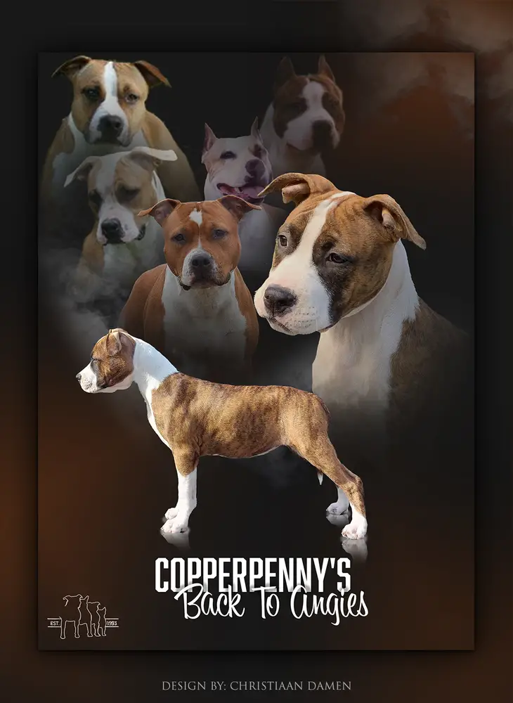 Copperpenny’s Back To Angies