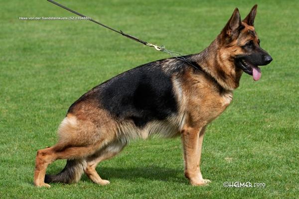 Hexe von der Sandsteinküste