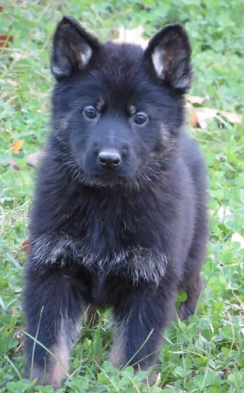 Brianna Ve'daun von bokern