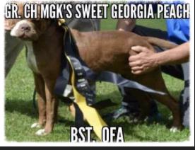 MGK’s Georgia Peach