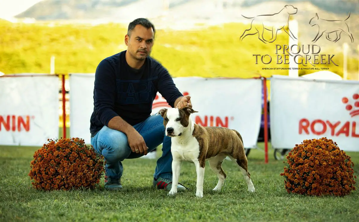 JCh GR,Ch GR,Greek Winner 2023 Proud to be Greek Enough Said