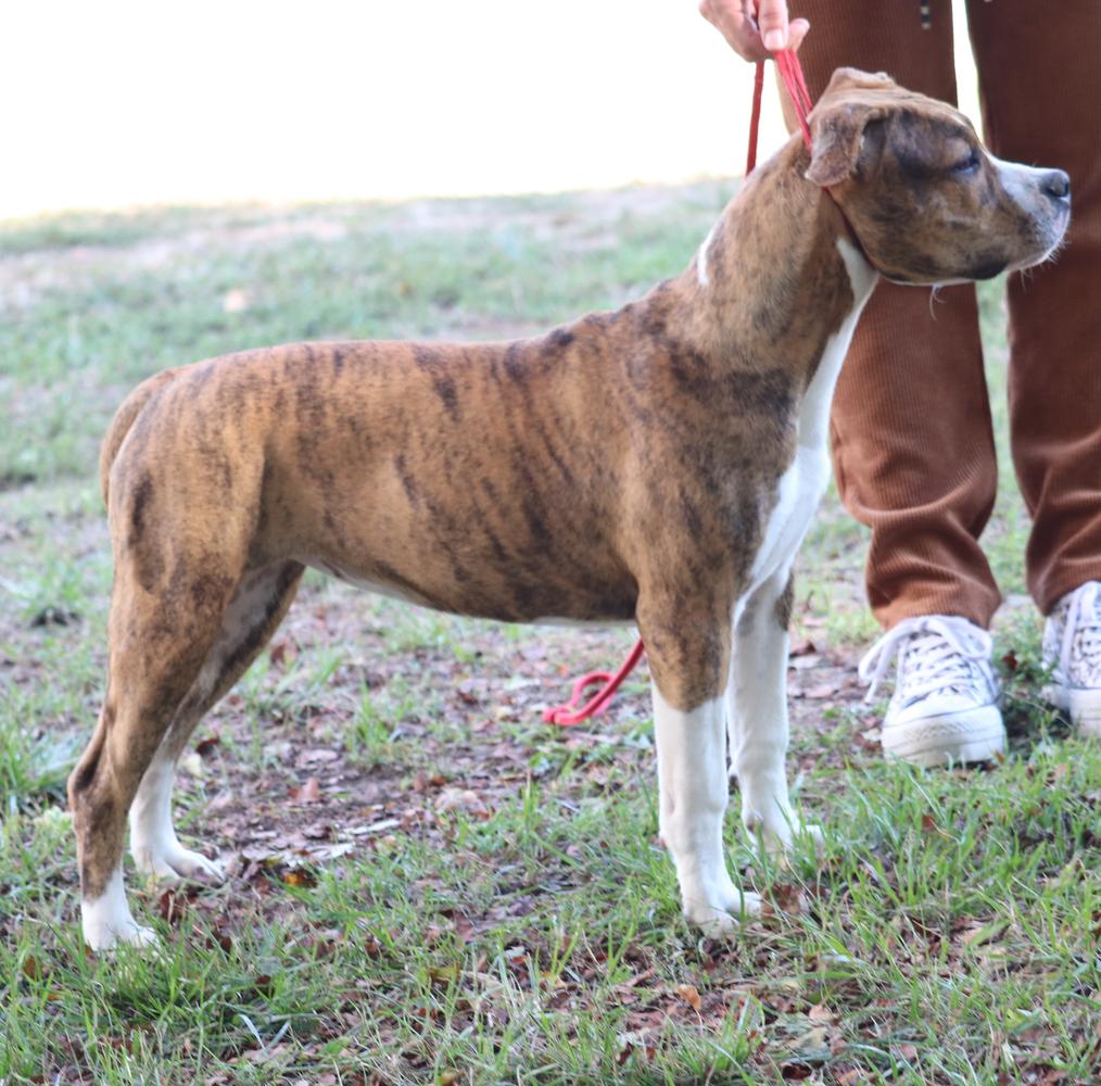 MEIN STAFFI BACK TO THE FUTURE