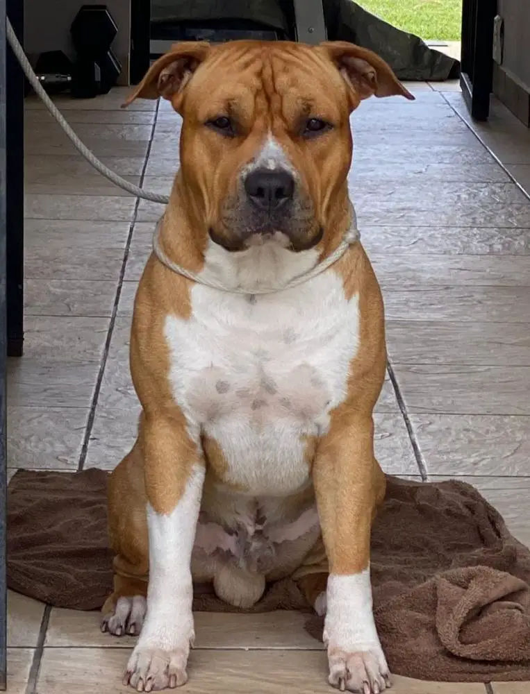 Vaca Valley Castle Rocks Good Trouble