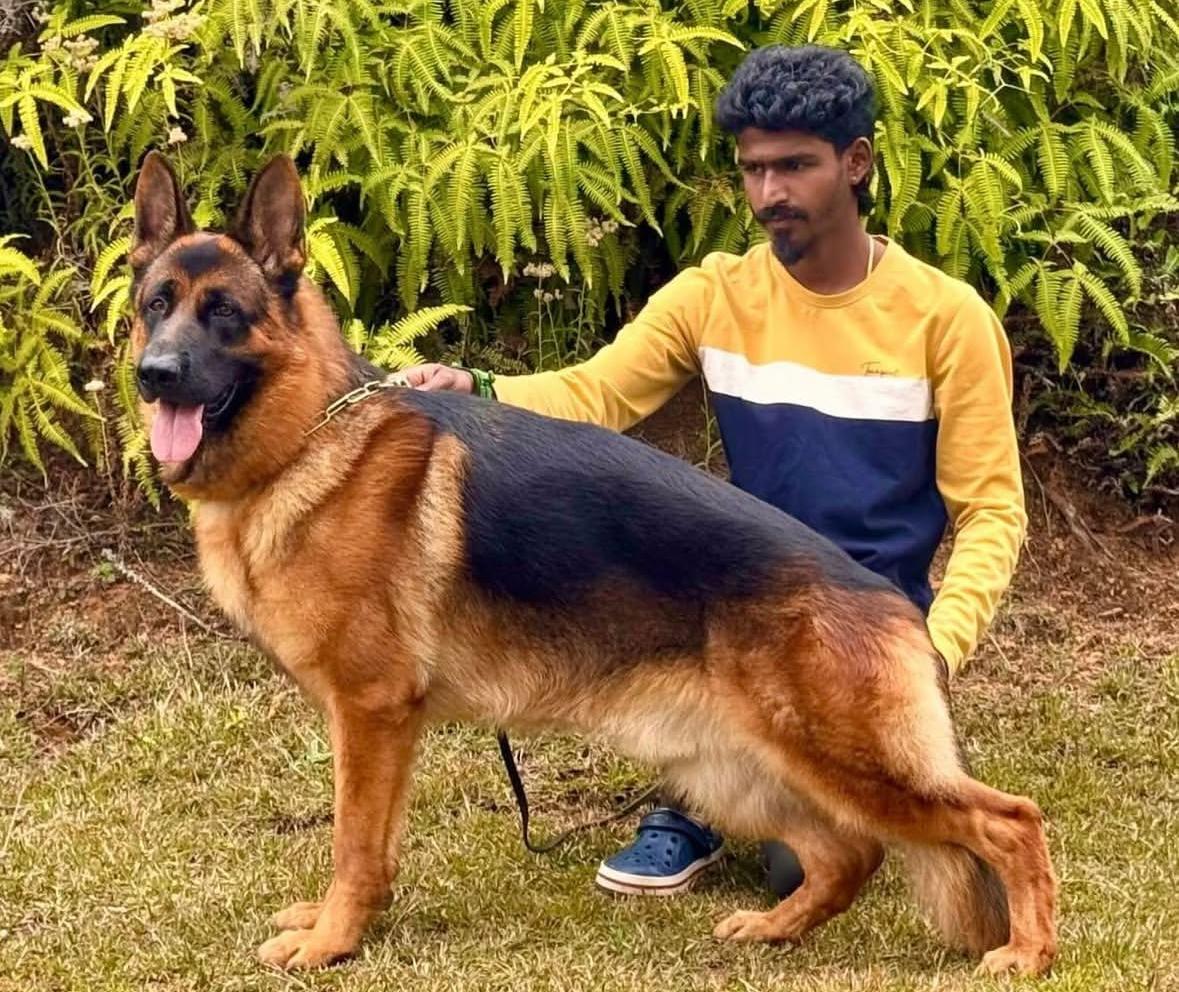 SG1(IT) Ind Ch BIS MBOB Pele dell'Isolotto