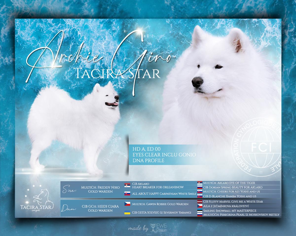 2x Res.CAC ARCHIE GINO Tacira Star