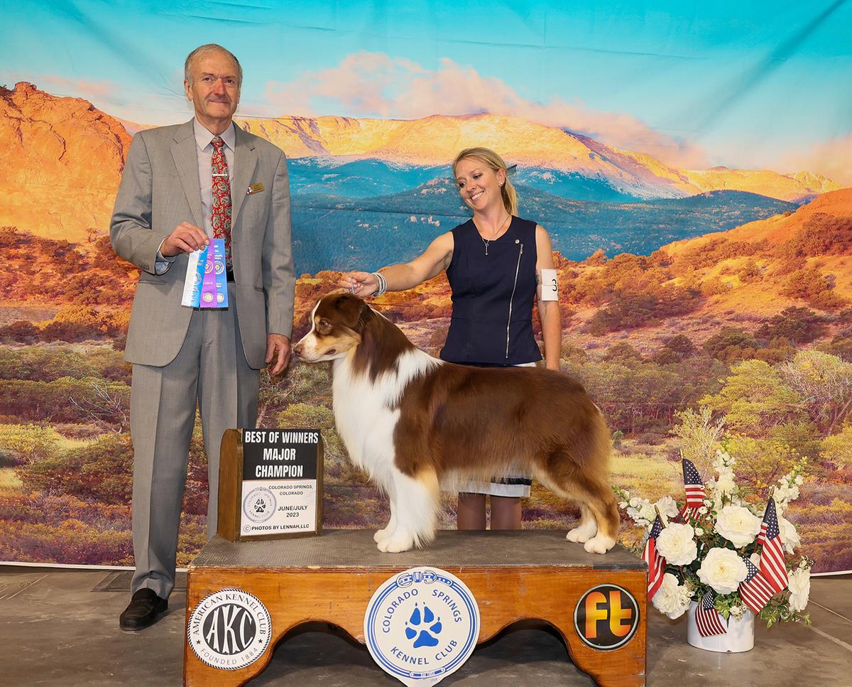 AKC CH Crystalbrook Do You Fear Death Catalina