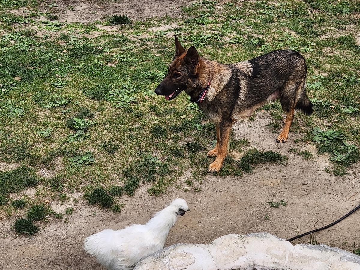 McGarvey's Kira Katara Ura