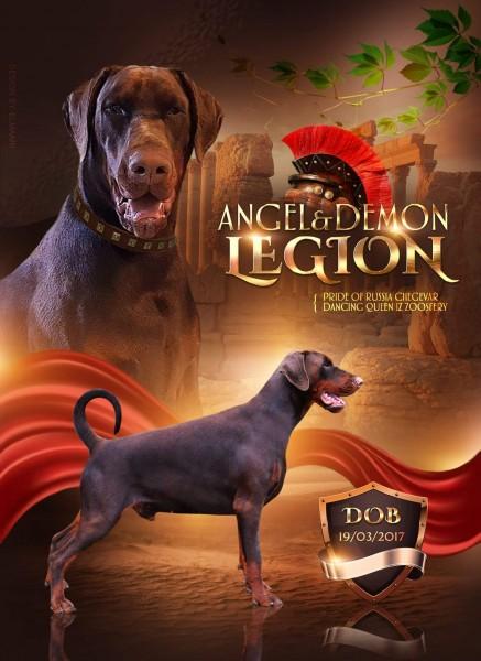 Legion Angel & Demon